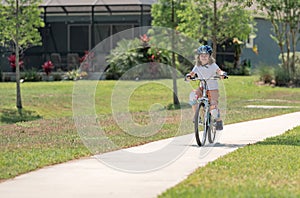 Cute kid riding a bike in summer park. Children learning to drive a bicycle on a driveway outside. Kid riding bikes in