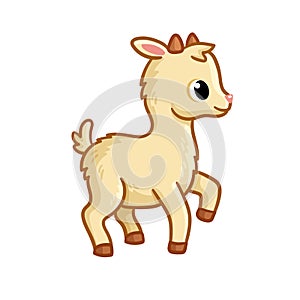 Cute kid stands on a white background. Cartoon farm animal. Vector illustration with goat