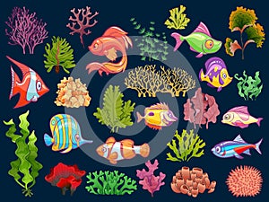 Cute kid underwater set. Aquarium baby fish and seaweed in water for children isolated vector collection