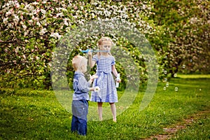 Cute kids girl and boy play on the grass under the apple tree in the spring blooming garden. Brother and sister let and catch soap