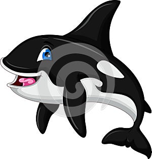 Cute killer whale cartoon