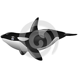 Cute killer whale cartoon