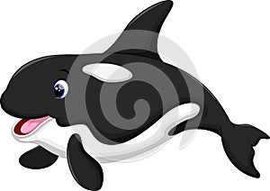 Cute killer whale cartoon