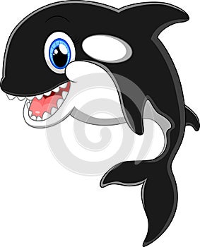 Cute killer whale cartoon