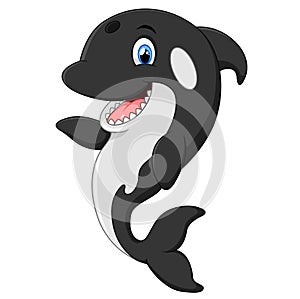 Cute killer whale cartoon