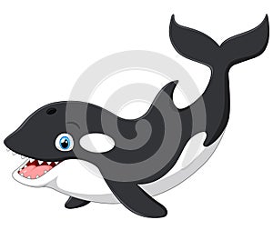 Cute killer whale cartoon