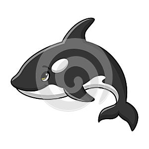 Cute killer whale cartoon on white background