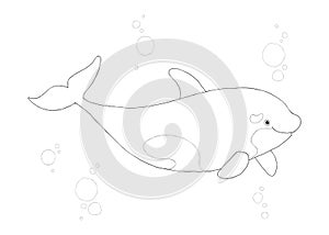 Cute killer whale outlined. Cartoon orca smiling. Cartoon vector hand drawn eps 10 outline illustration isolated on