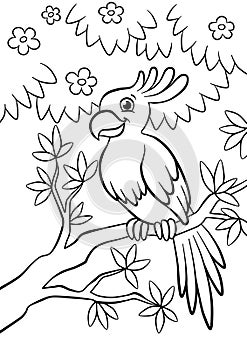 Cute kind parrot sitting on the flowered tree in the forest