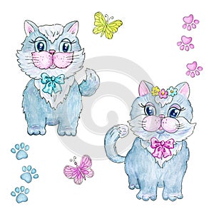 Cute kitten boy in bow tie and kitten girl with flowers. Card clipart is decorated with butterflies and traces of the paws of cat