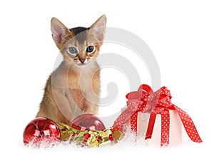 Cute kitten with christmas balls and gift box