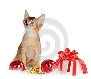 Cute kitten with christmas balls and gift box