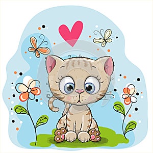 Cute Kitten with flowers