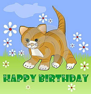 Cute kitten on meadow with white small daisies. Happy birthday billboard for children party. Vector illustration