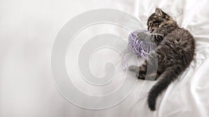 A cute kitten playing in a bed