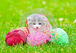 Cute kitten playing with clews of thread on green grass