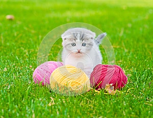 Cute kitten playing with clews of thread on green grass