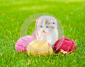 Cute kitten playing with clews of thread on green grass