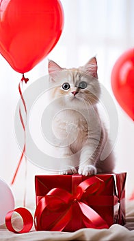 Cute kitten with a red balloons and a gift box. Birthday greeting card. Promotional banner for animal shelter, pet shop