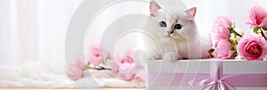 Cute kitten with roses flowers and gift box on blurred background. Banner for Mothers day, International Women's Day