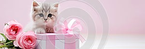 Cute kitten with roses flowers and gift box on blurred background. Banner for Mothers day, International Women's Day