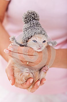 Cute kitten warming up after bath - wearing a woolen hat