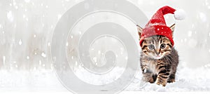 Cute kitten wearing a christmas hat peeking playfully from behind a blank banner