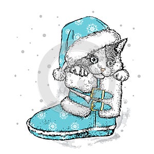 Cute kitten in winter boots. Christmas and New Year.