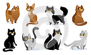 Cute kittens set. Vector collection of adorable cat breeds in cartoon style