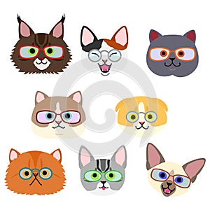 Cute kitties face with eyeglasses set