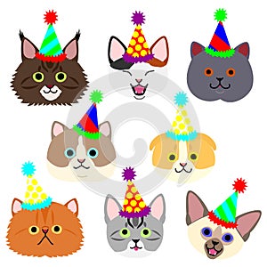 Cute kitties face with party hat set