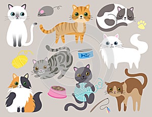 Carino gattino gatto vettore illustrazioni 