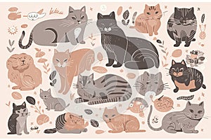 Cute kitty cat vector illustration set with different cat breeds