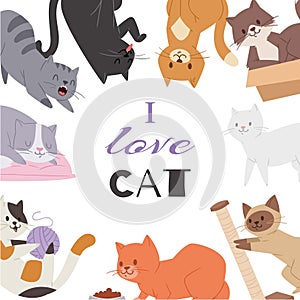 Cute kitty cat vector poster with different kitten breeds, toys, and food. Multi-colored pussycats with i love cat photo