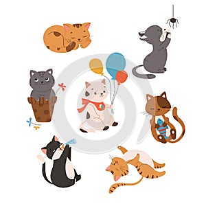 Cute kitty cat vector set with different cats