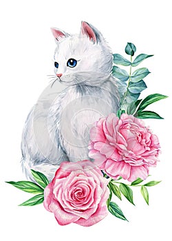 Cute kitty with roses, peonies flowers, leaves on isolated white background, animals illustration poster, watercolor cat