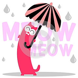 Cute kitty with umbrella