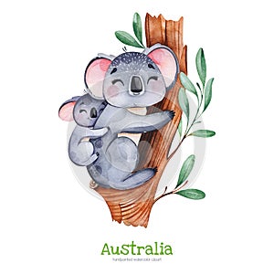 Cute koala with baby on eucalyptus tree.