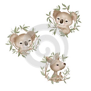 Cute koala bear and kangoroo sitting on the branches of eucalyptus. Hand drawn illustration on white background