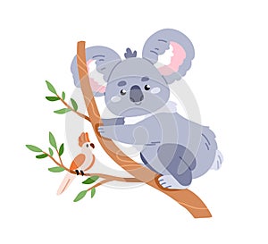 Cute koala and bird friend on tree branch. Happy baby animal, Australian bear. Adorable funny friendly jungle character