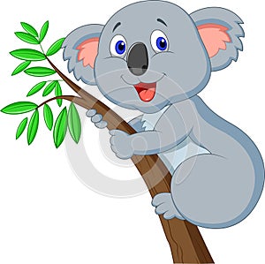 Cute koala cartoon