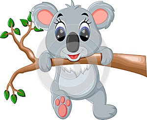 Cute koala cartoon