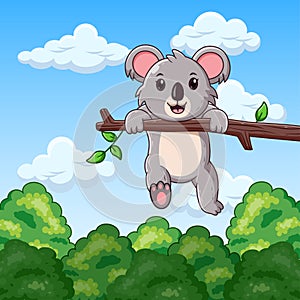 Cute Koala Hanging Hanging in the Forest Cartoon. Vector Cartoon Illustration