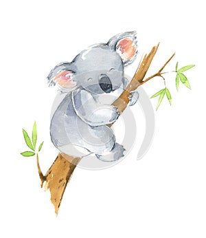 Cute koala sitting in a tree, watercolor illustration