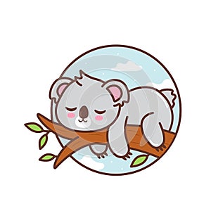 Cute koala sleeping in the tree branch