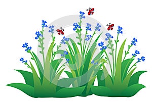 Cute labybugs flying on flowers and grass, cartoon vector