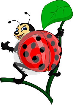 Cute lady bug cartoon
