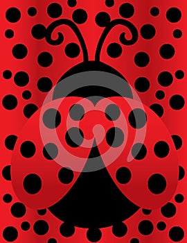 Cute Lady Bug on Polka Dot Background