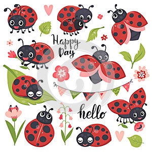 Cute ladybird set, funny little insect collection