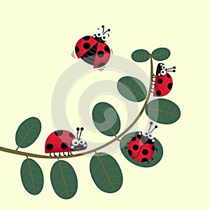 Cute ladybirds or ladybugs walking on the stem of a plant